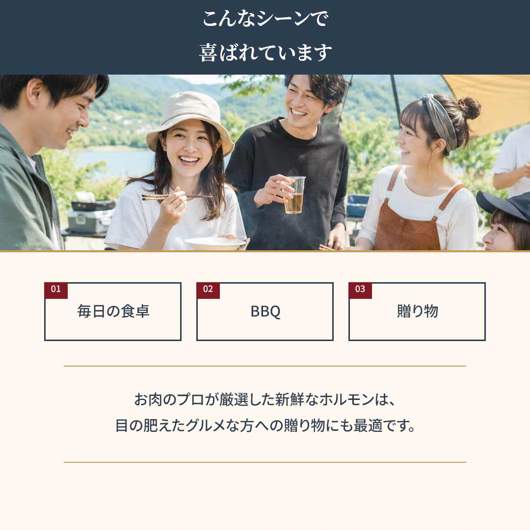 国産 豚ハラミとホルモンの特製味噌煮込み 1.2kg（200g×6袋） 11