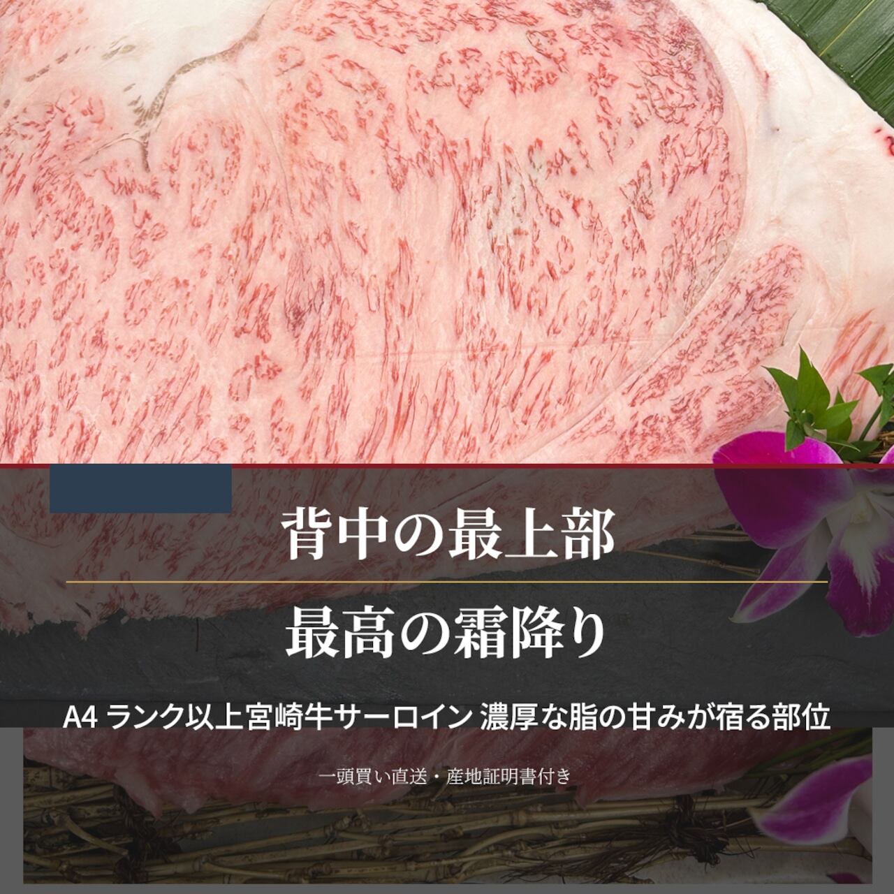 宮崎牛 サーロインしゃぶしゃぶ・すき焼き用 5
