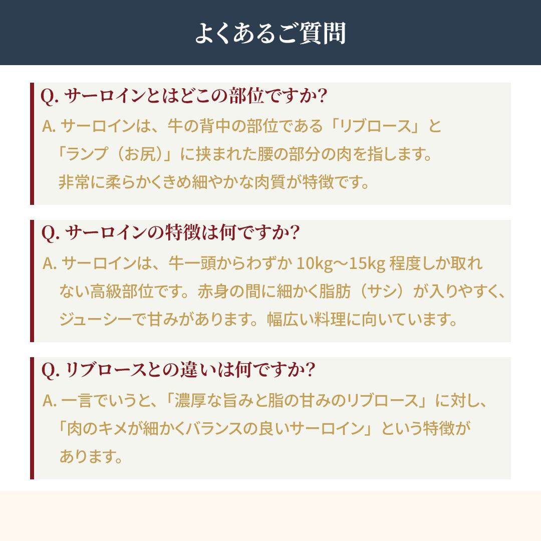 宮崎牛 サーロインしゃぶしゃぶ・すき焼き用 10