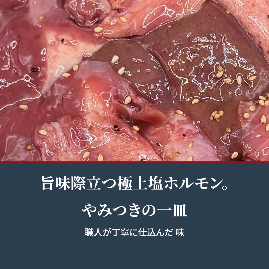 国産 豚ミックスホルモン 特製塩だれ 1.2kg（200g×6袋） 3