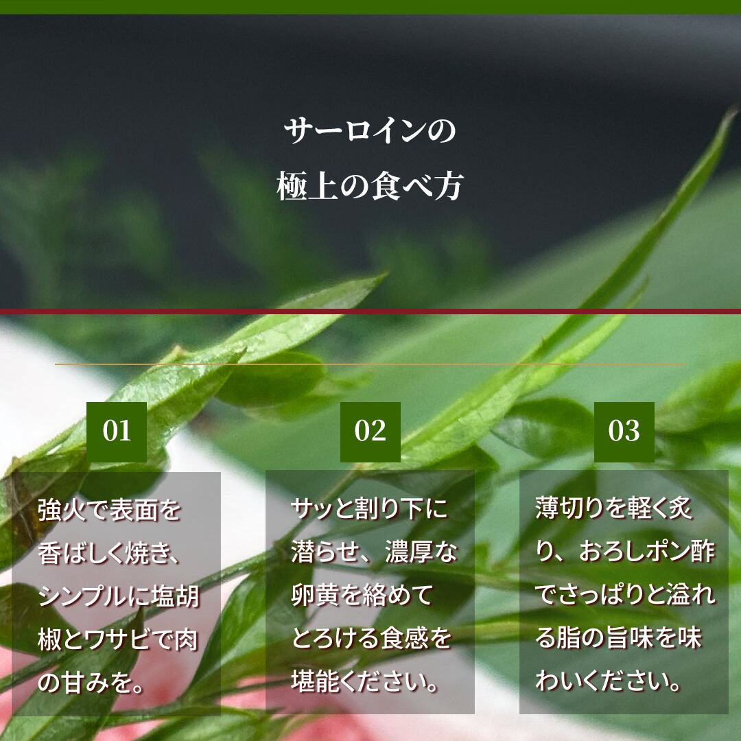 宮崎牛 サーロイン焼肉用 A4等級以上 300g（150g×2枚） 15