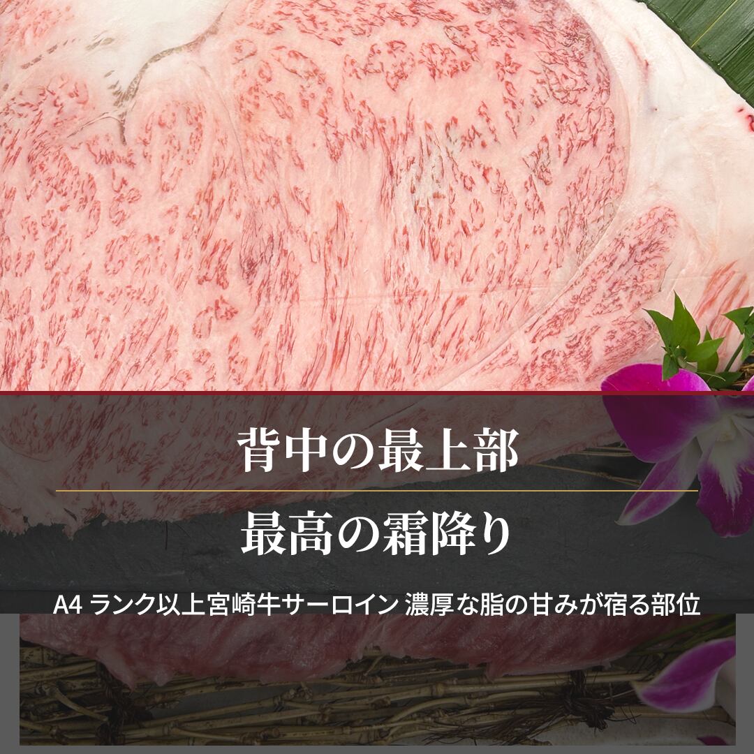 宮崎牛 サーロイン焼肉用 A4等級以上 300g（150g×2枚） 5