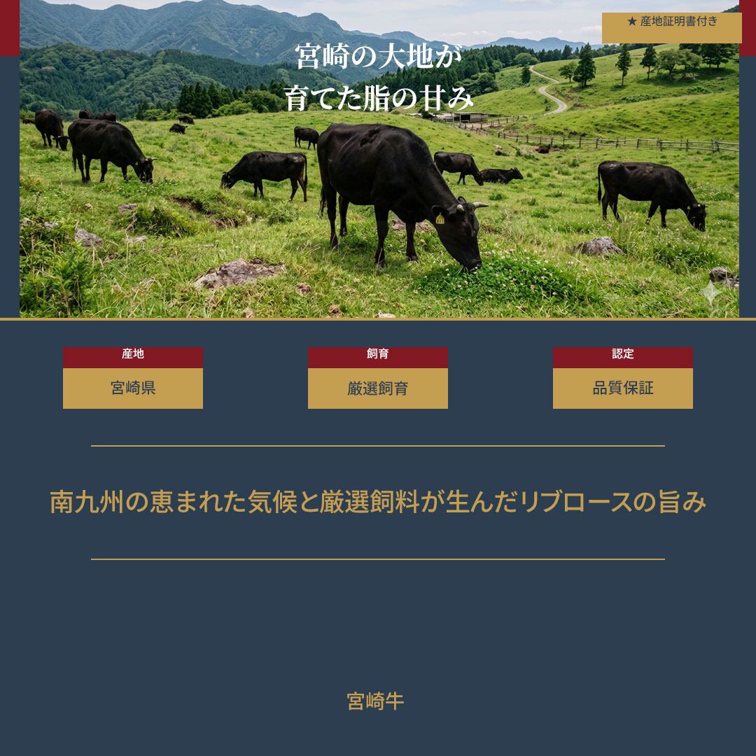 宮崎牛 リブロース 焼肉用 A4等級以上 300g（150g×2枚） 12