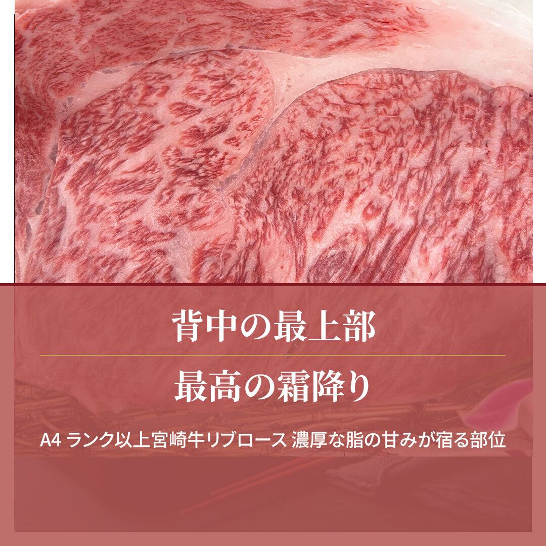宮崎牛 リブロース 焼肉用 A4等級以上 300g（150g×2枚） 5