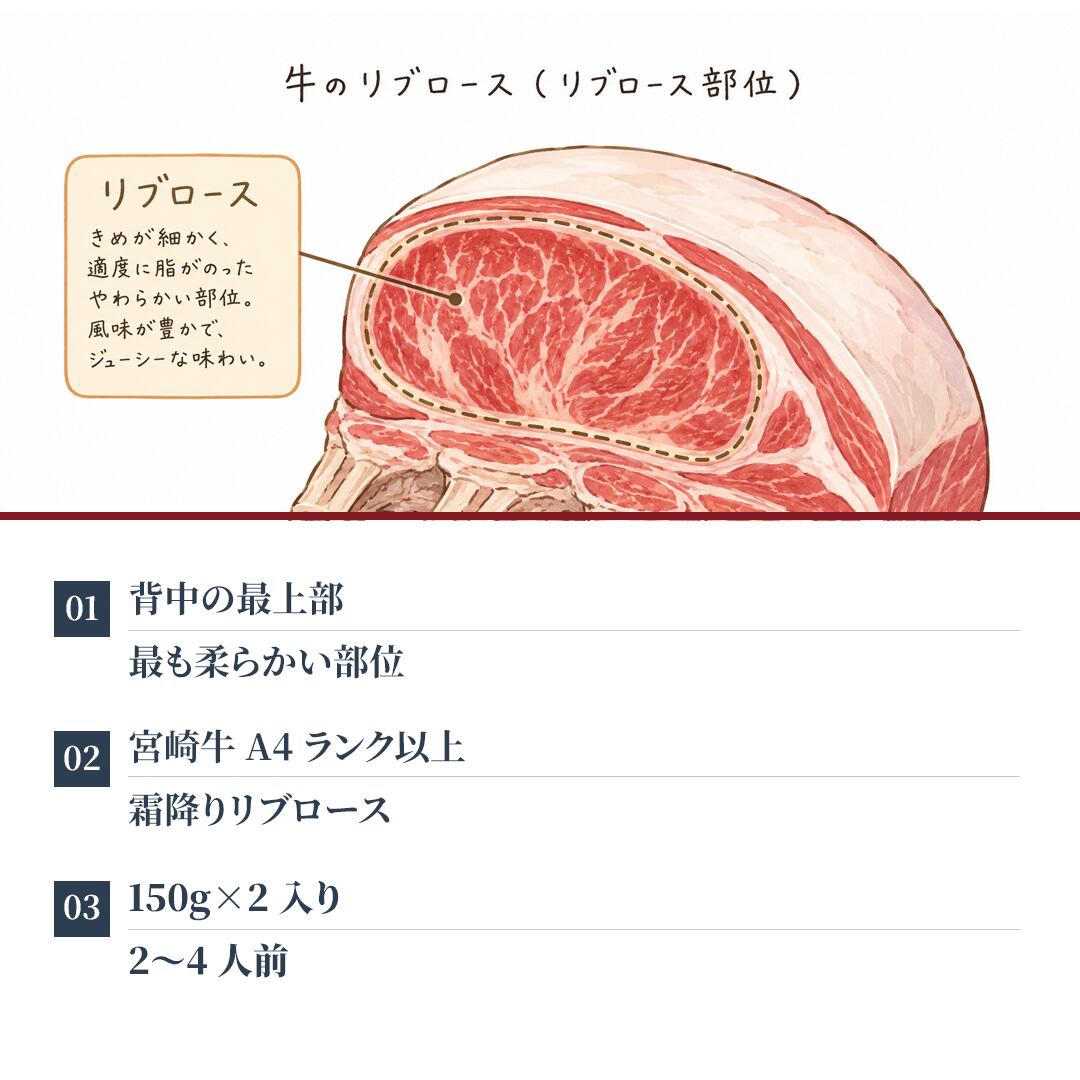 宮崎牛 リブロース 焼肉用 A4等級以上 300g（150g×2枚） 9