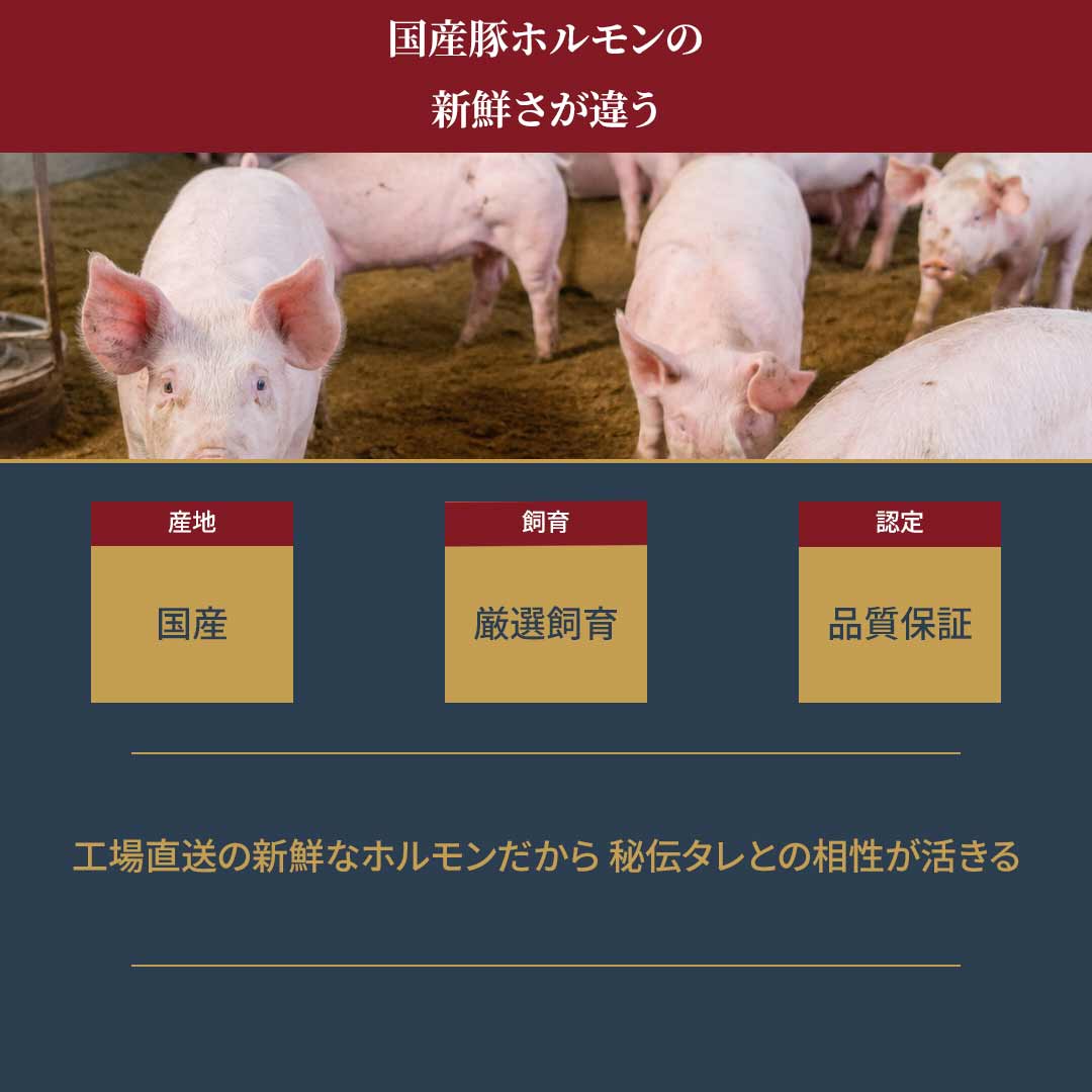 国産 豚ミックスホルモン 特製味噌だれ 1.2kg（200g×6袋） 10