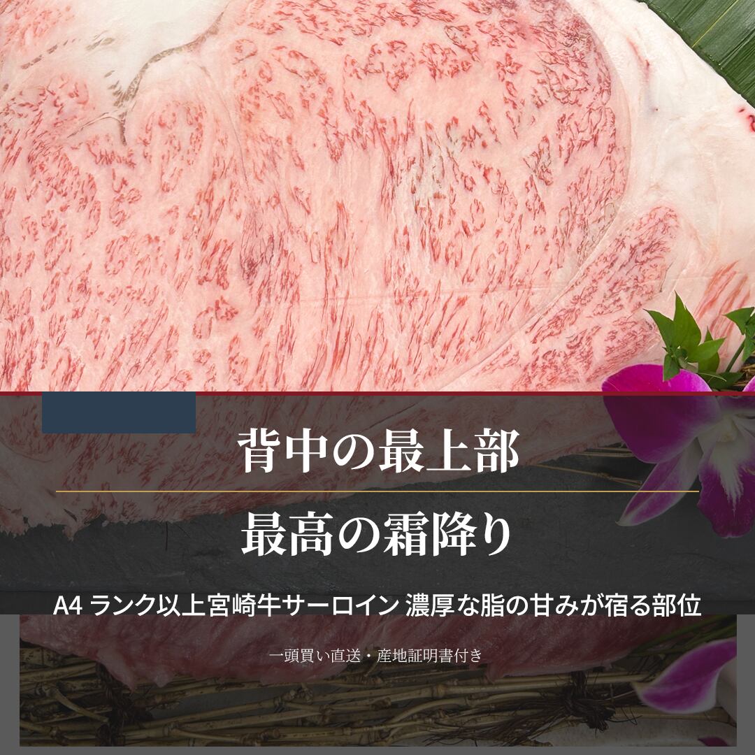 宮崎牛ロースセット（リブロース・サーロイン）焼肉用 7