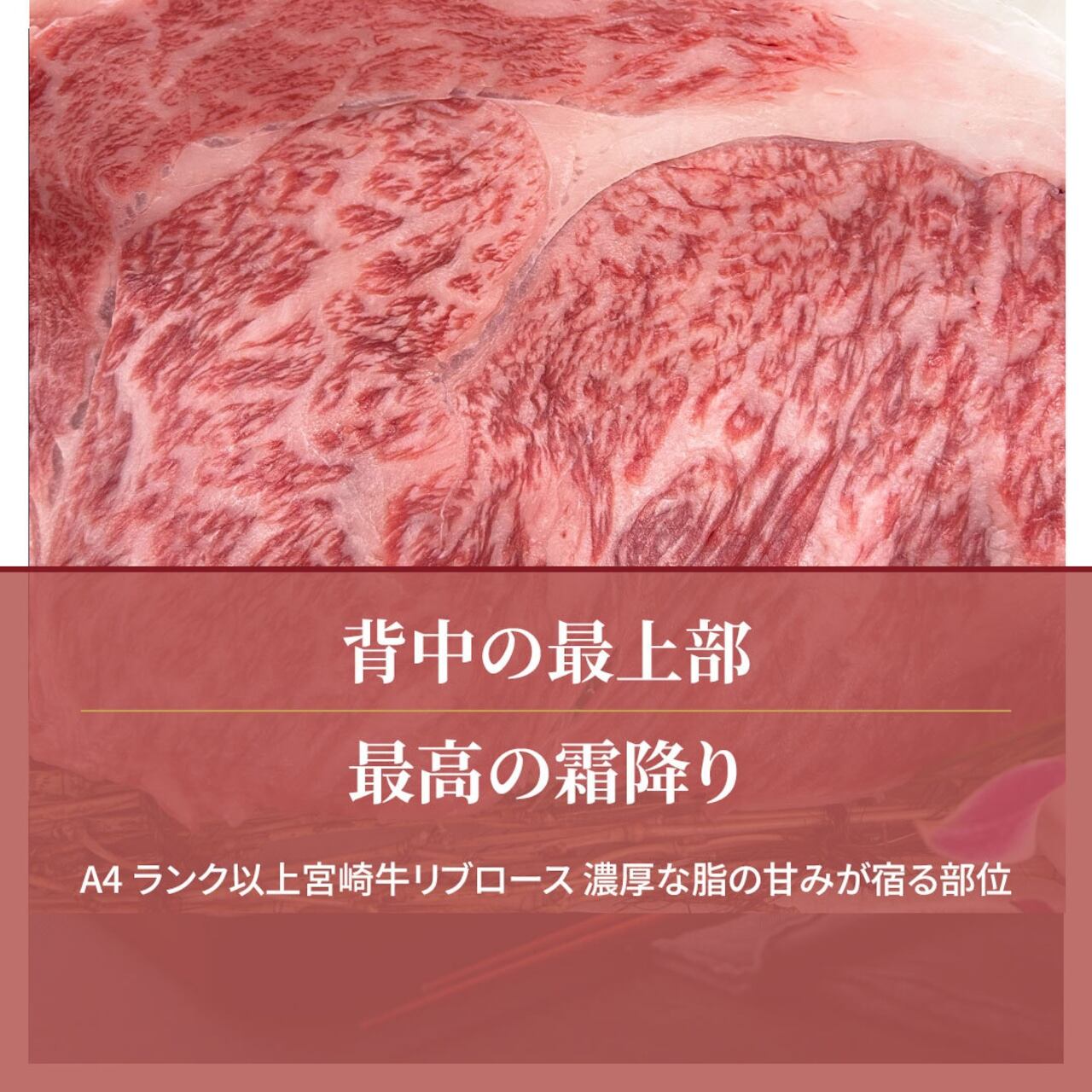 宮崎牛ロースセット（リブロース・サーロイン）焼肉用 9